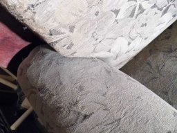 tn_P1000705