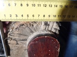 tn_P1000720