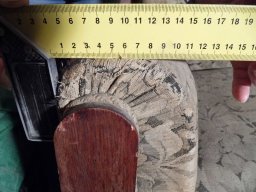 tn_P1000721