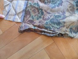 tn_P1000734