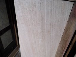 tn_P1000740