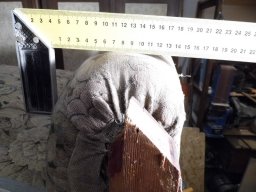 tn_P1000742