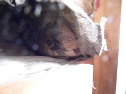 tn_P1000747