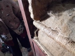tn_P1000751
