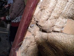 tn_P1000759