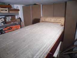 tn_P1000850